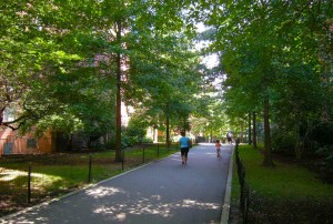 A tranquil street that connects parts of the neighborhood