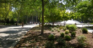 A central neighborhood square where all major pedestrian paths converge